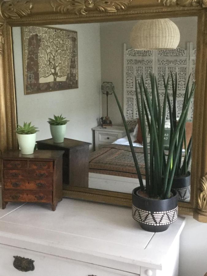 Bambu Cottage New Quay Extérieur photo